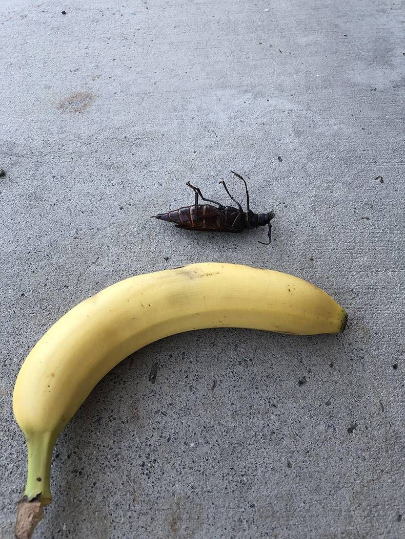 Gewoon een verzameling hilarische foto's #999