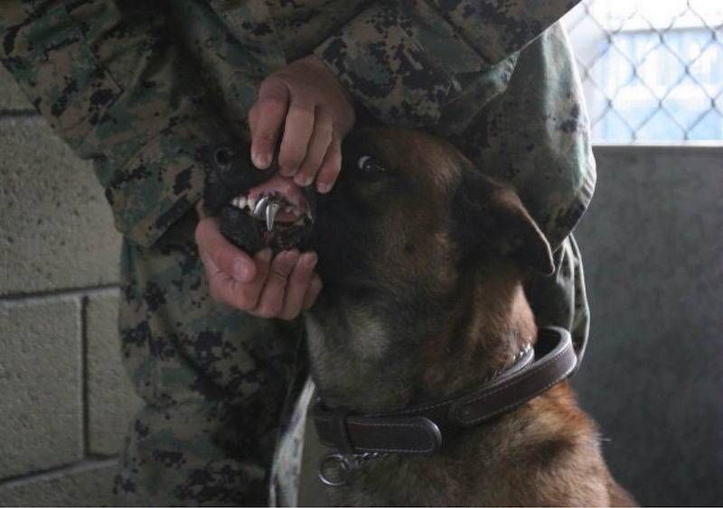 Gewoon een verzameling hilarische foto’s #1107