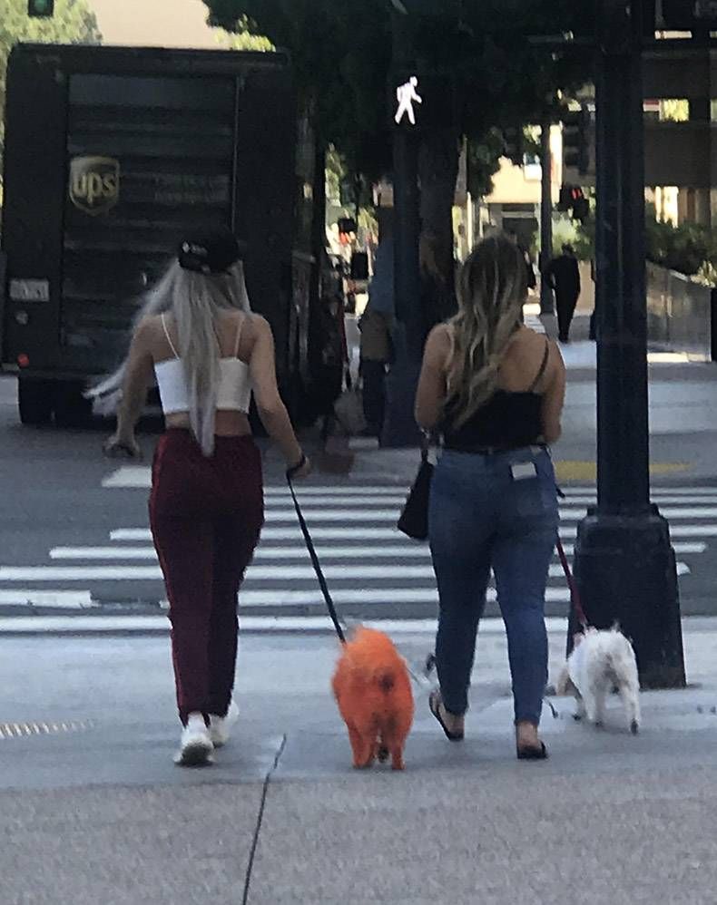 Gewoon een verzameling hilarische foto's #1024