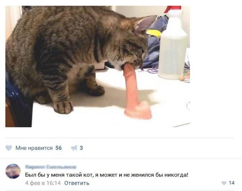 Gewoon een verzameling hilarische foto's #778