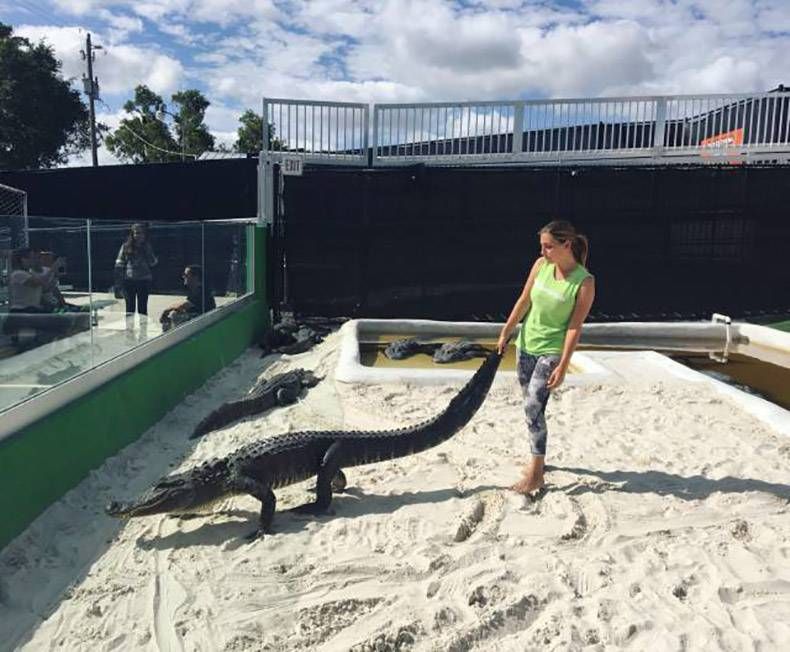 Gewoon een verzameling hilarische foto's #925