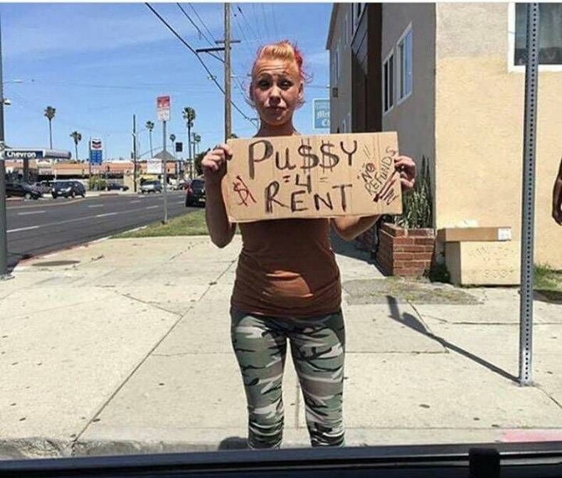 Gewoon een verzameling hilarische foto's #874