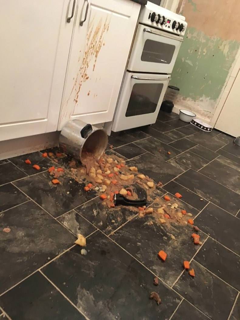Gewoon een verzameling hilarische foto's #961