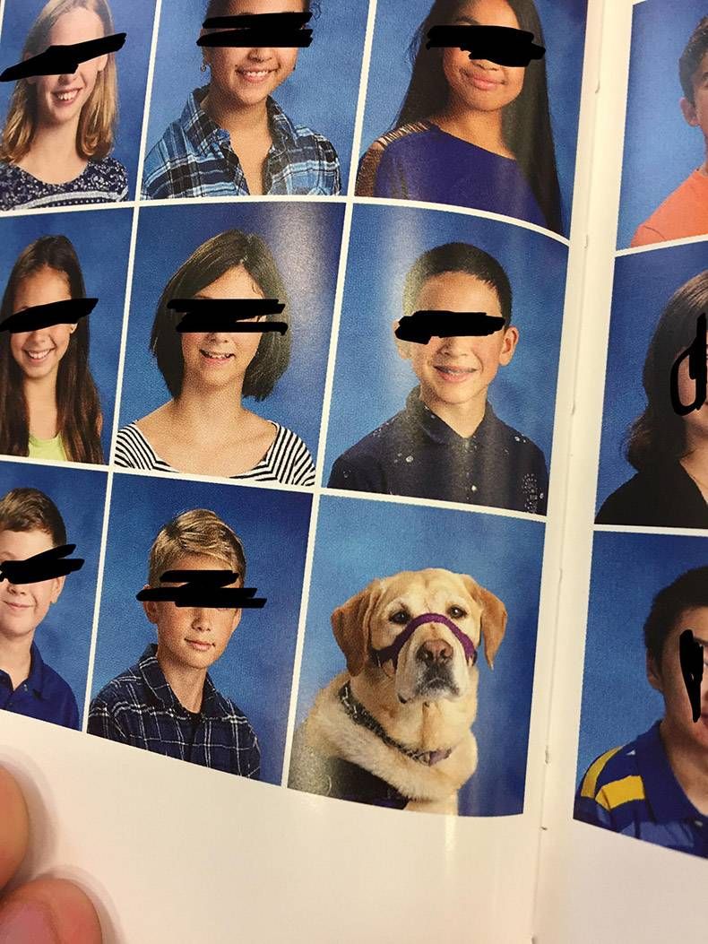 Gewoon een verzameling hilarische foto's #829