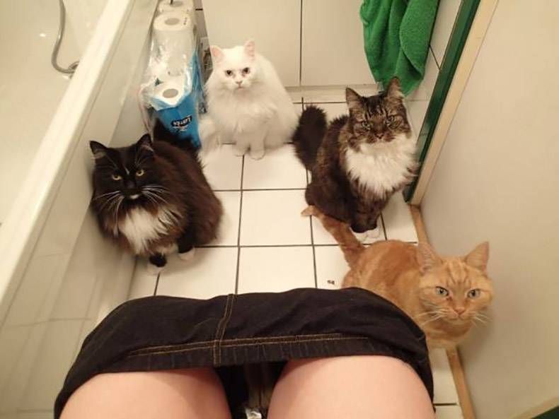Gewoon een verzameling hilarische foto's #925