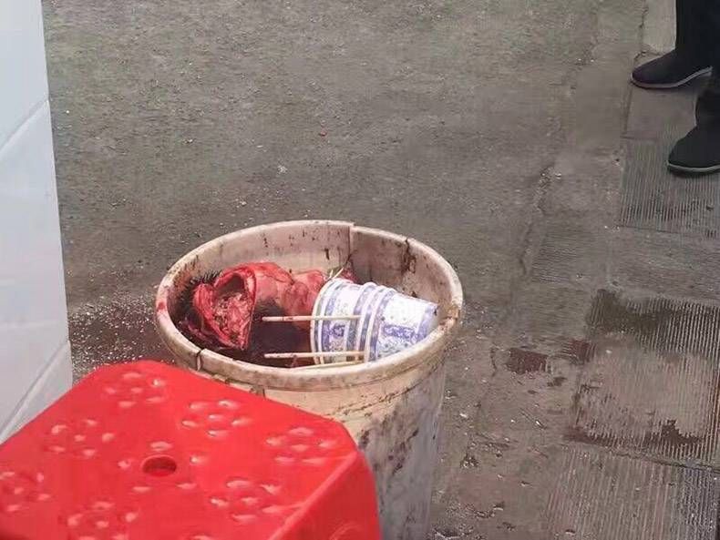 Gewoon een verzameling hilarische foto's #778