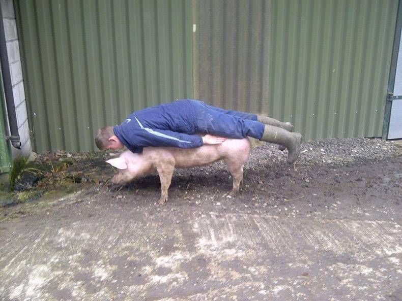 Gewoon een verzameling hilarische foto's #984