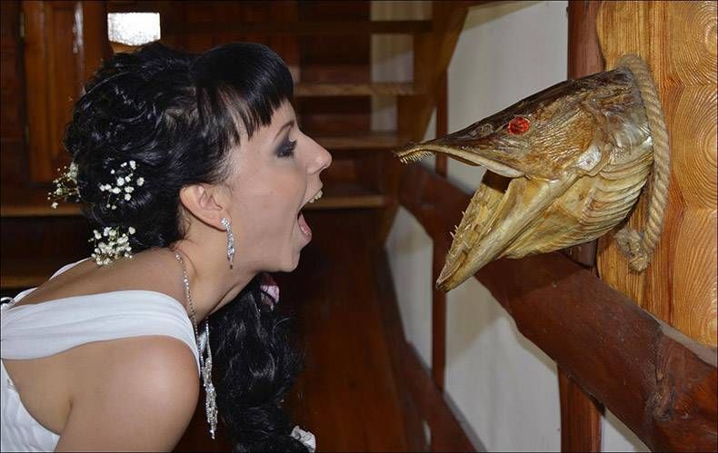 Gewoon een verzameling hilarische foto's #871