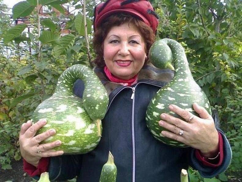 Gewoon een verzameling hilarische foto’s #847