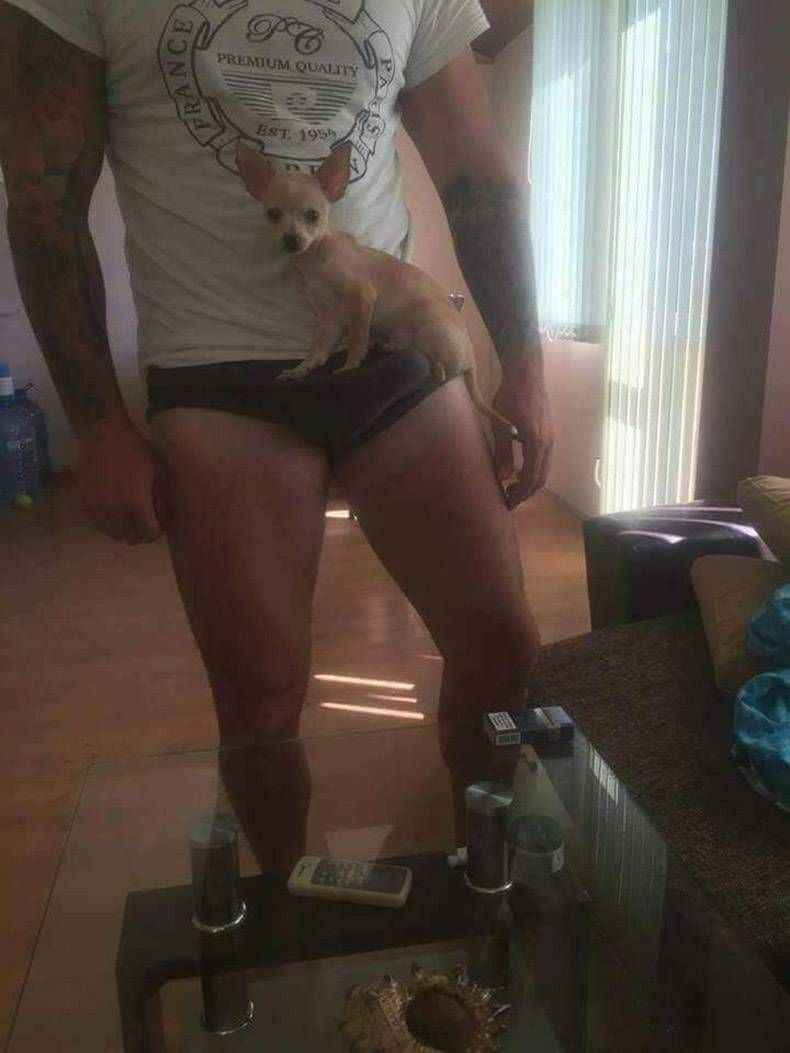 Gewoon een verzameling hilarische foto's #823