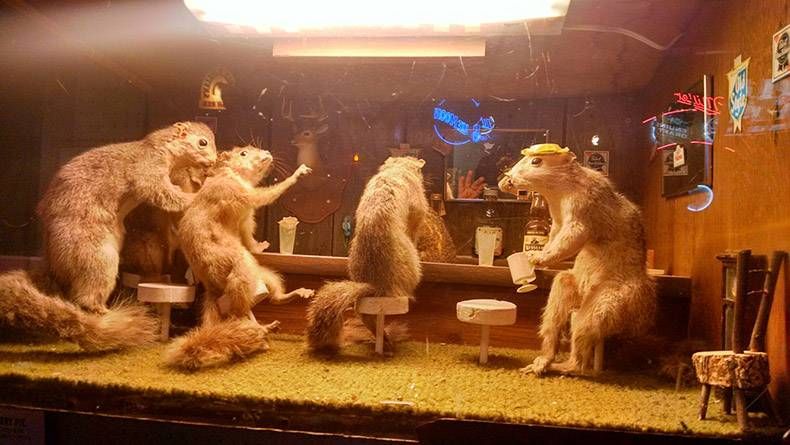 Gewoon een verzameling hilarische foto's #967