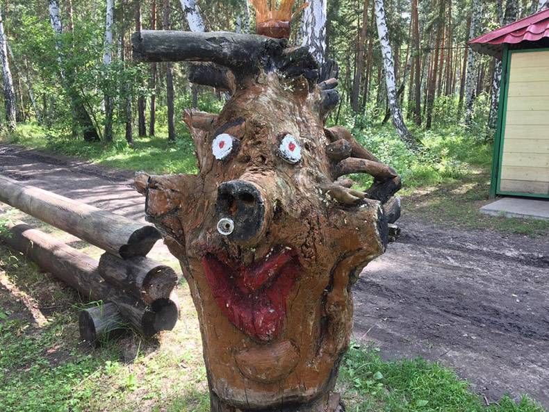 Gewoon een verzameling hilarische foto's #871