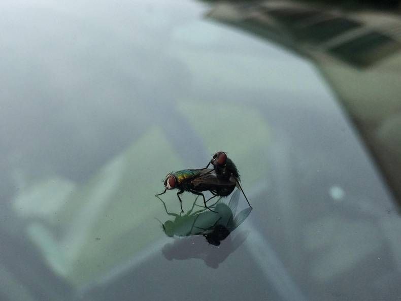 Gewoon een verzameling hilarische foto's #728