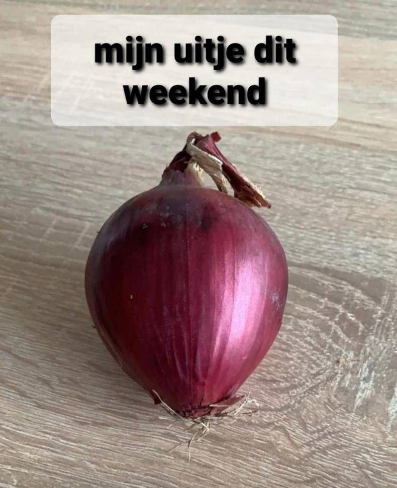 Gewoon een verzameling hilarische foto's #1262