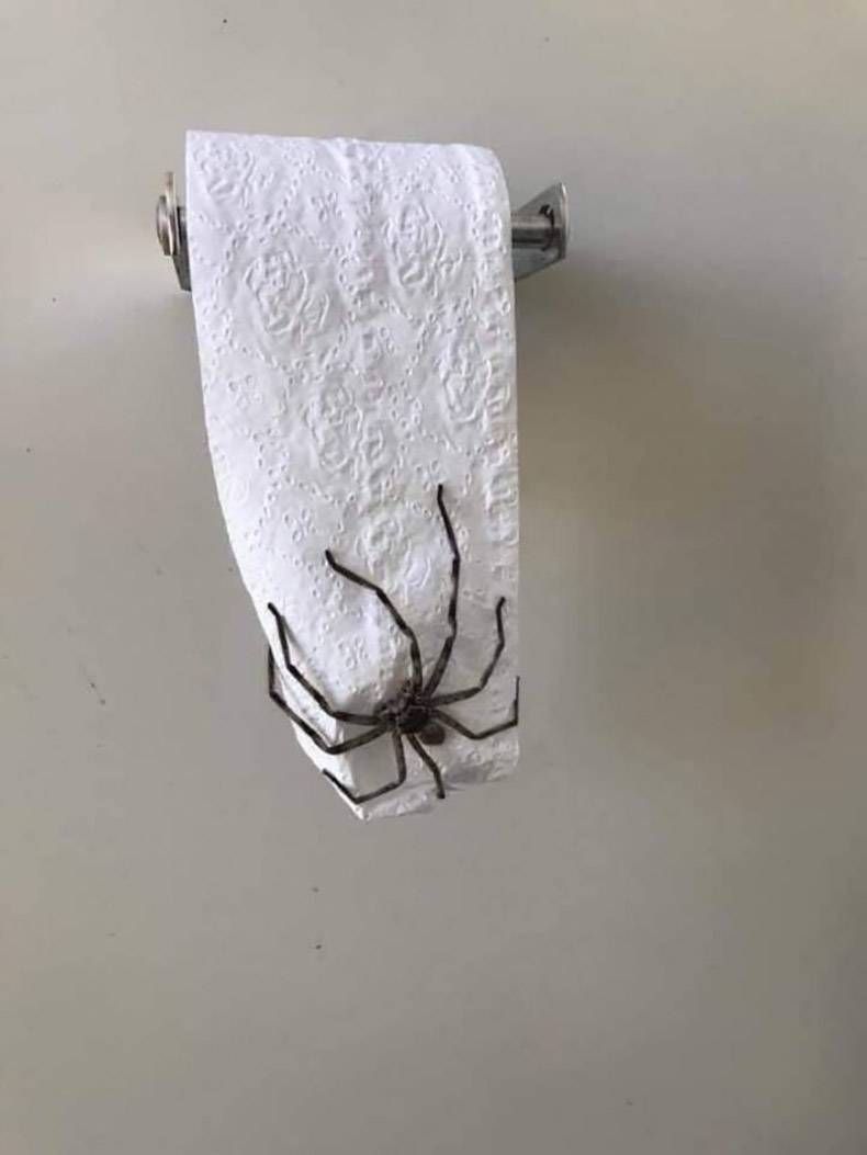 Gewoon een verzameling hilarische foto's #1244