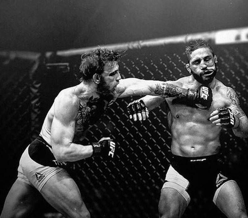 Gewoon een verzameling hilarische foto's #747