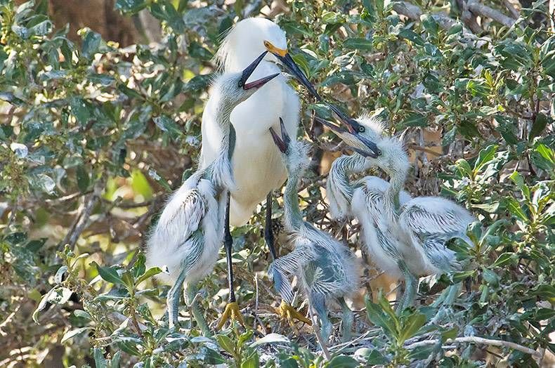 Gewoon een verzameling hilarische foto's #823