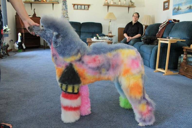 Gewoon een verzameling hilarische foto's #1088