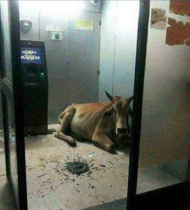 Gewoon een verzameling hilarische foto’s #847