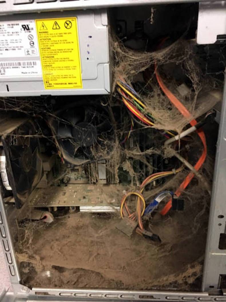 Gewoon een verzameling hilarische foto's #747