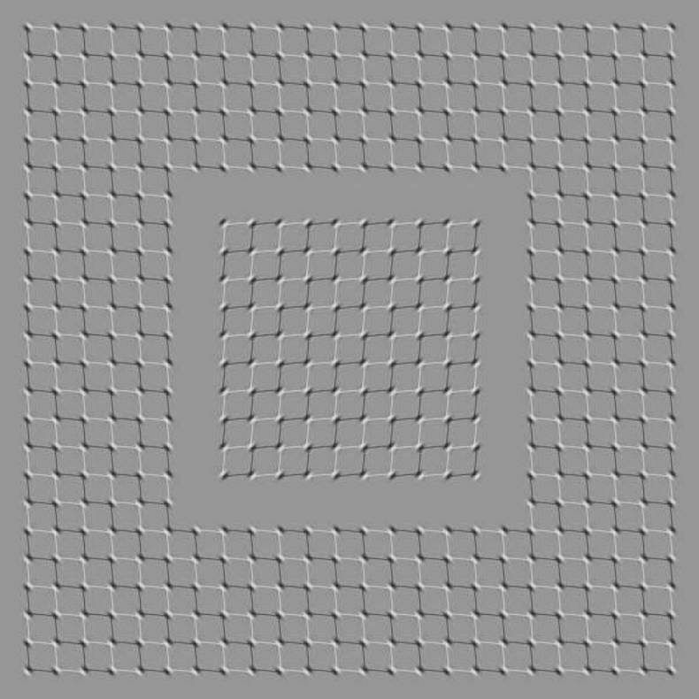 Gewoon een verzameling hilarische foto's #747