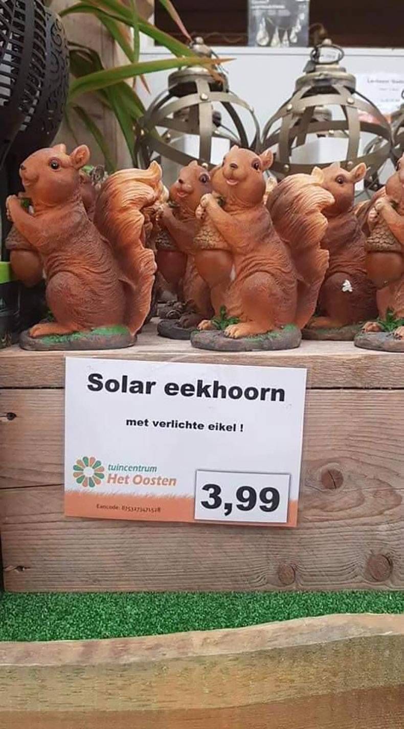 Gewoon een verzameling hilarische foto's #1152