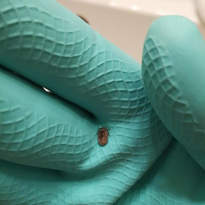 Gewoon een verzameling hilarische foto's #895