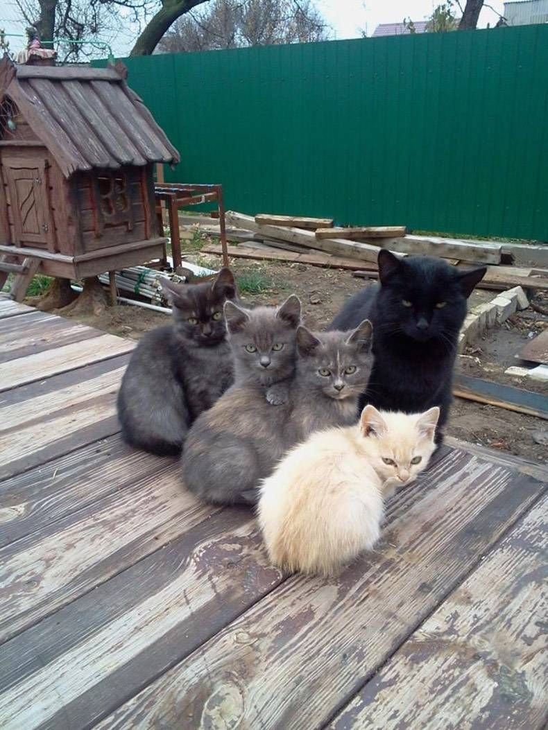 Gewoon een verzameling hilarische foto's #874