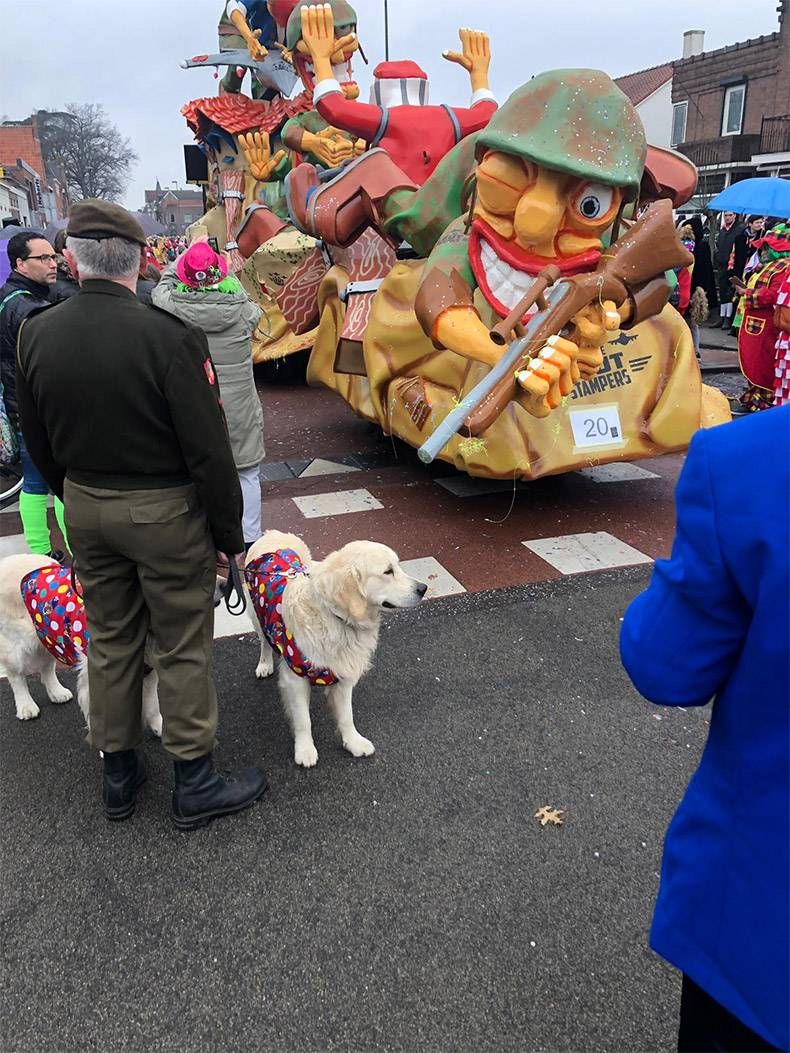 Gewoon een verzameling hilarische foto's #1096