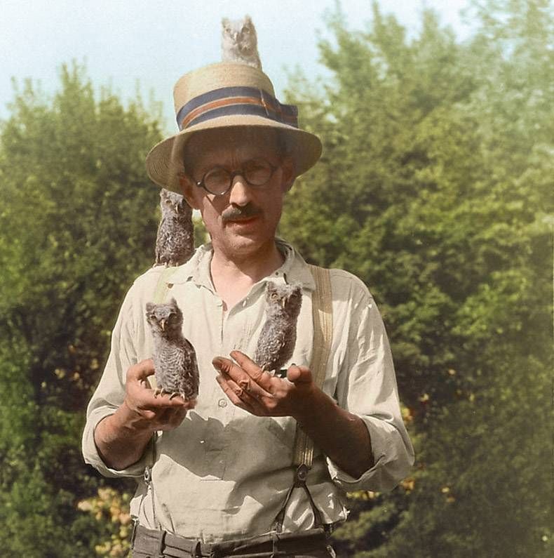 Gewoon een verzameling hilarische foto's #955