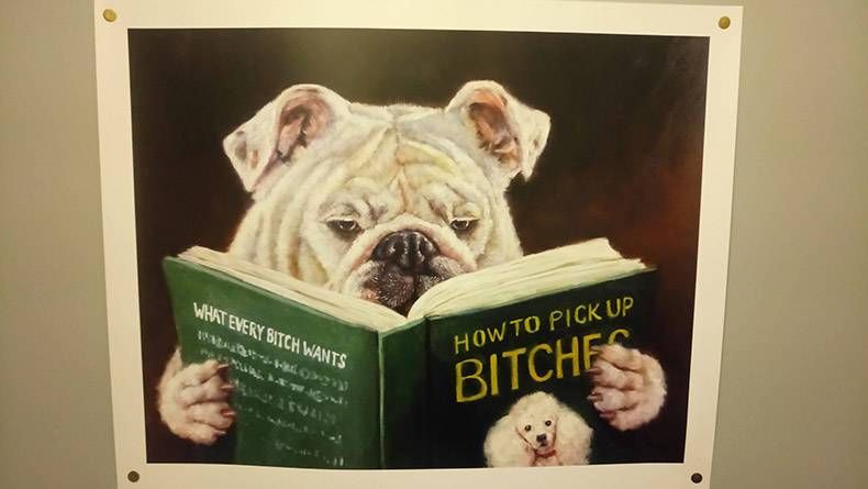 Gewoon een verzameling hilarische foto's #823