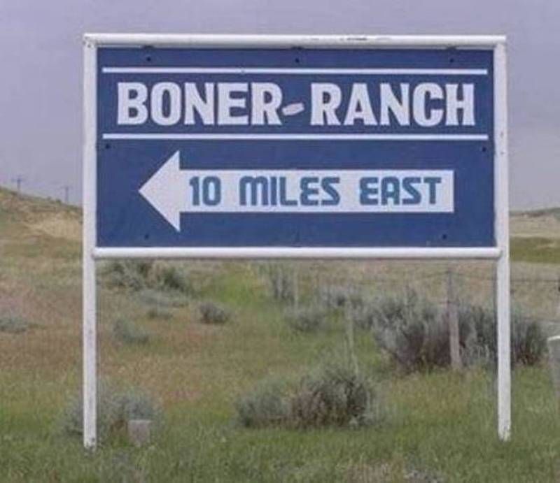 Gewoon een verzameling hilarische foto’s #1107