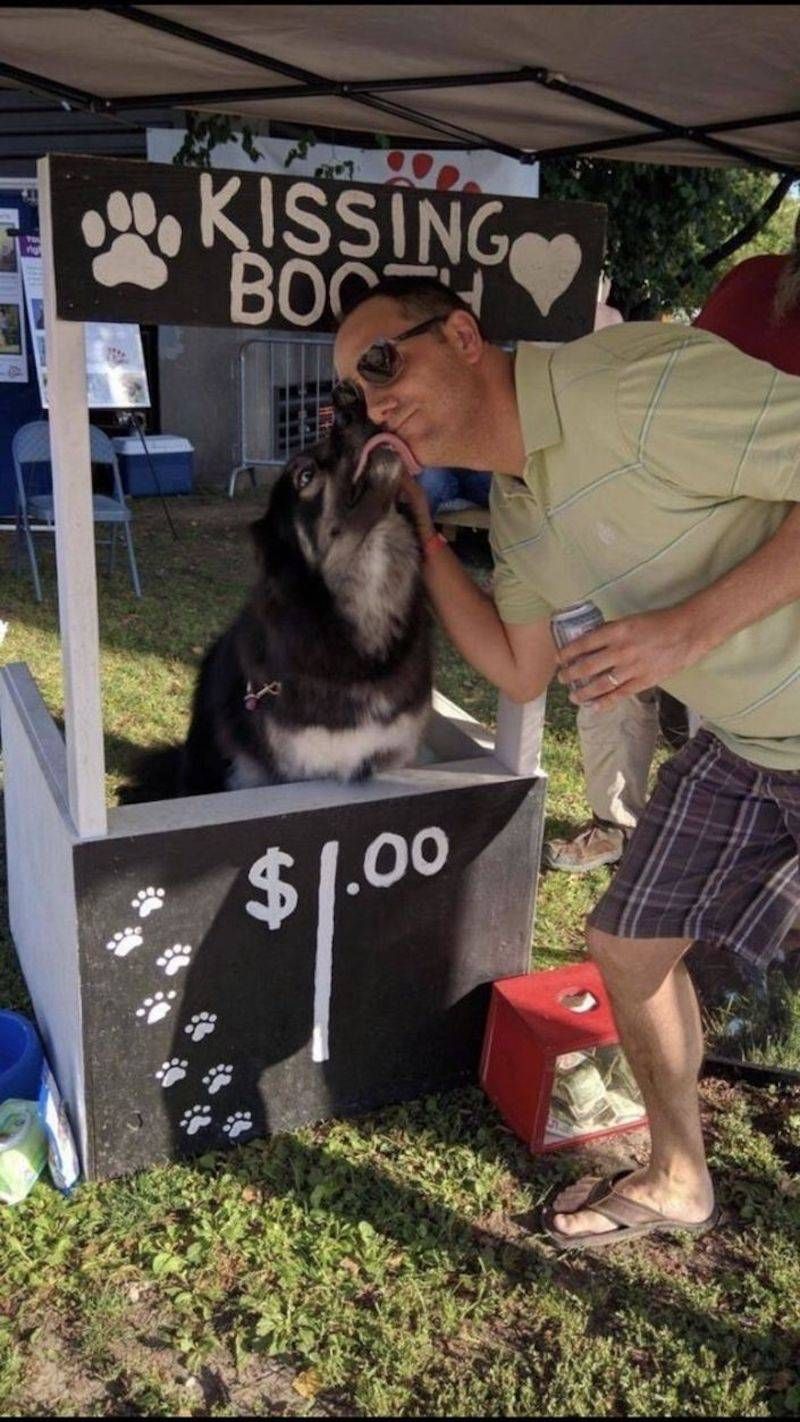 Gewoon een verzameling hilarische foto’s #1107