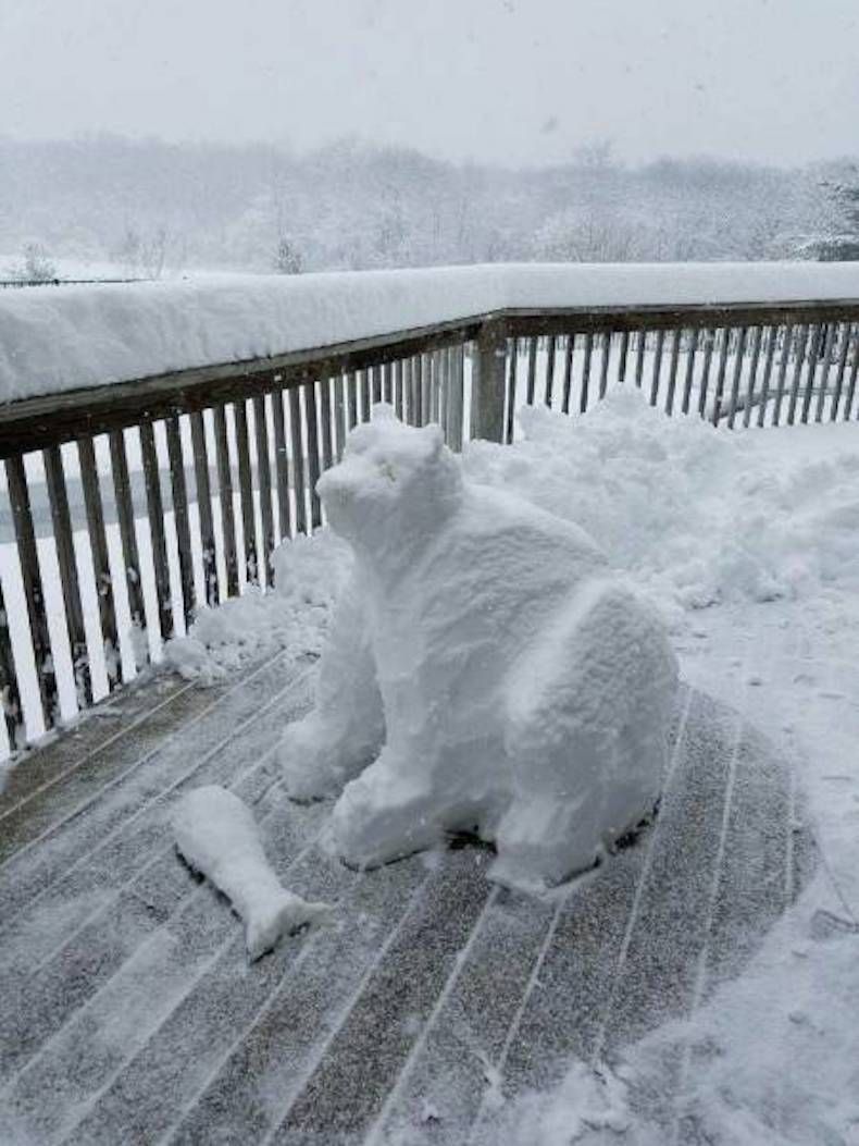 Gewoon een verzameling hilarische foto's #747