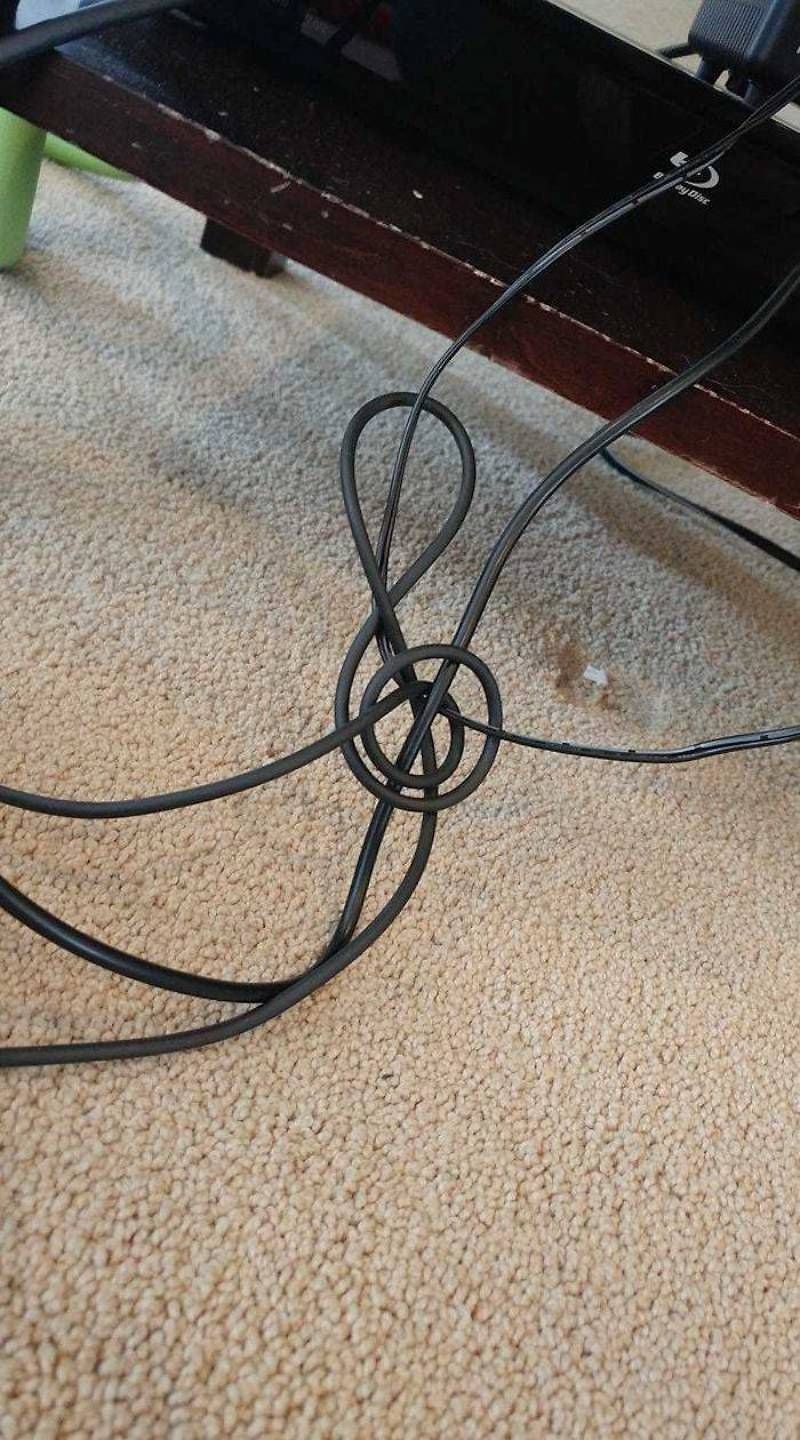 Gewoon een verzameling hilarische foto’s #1107