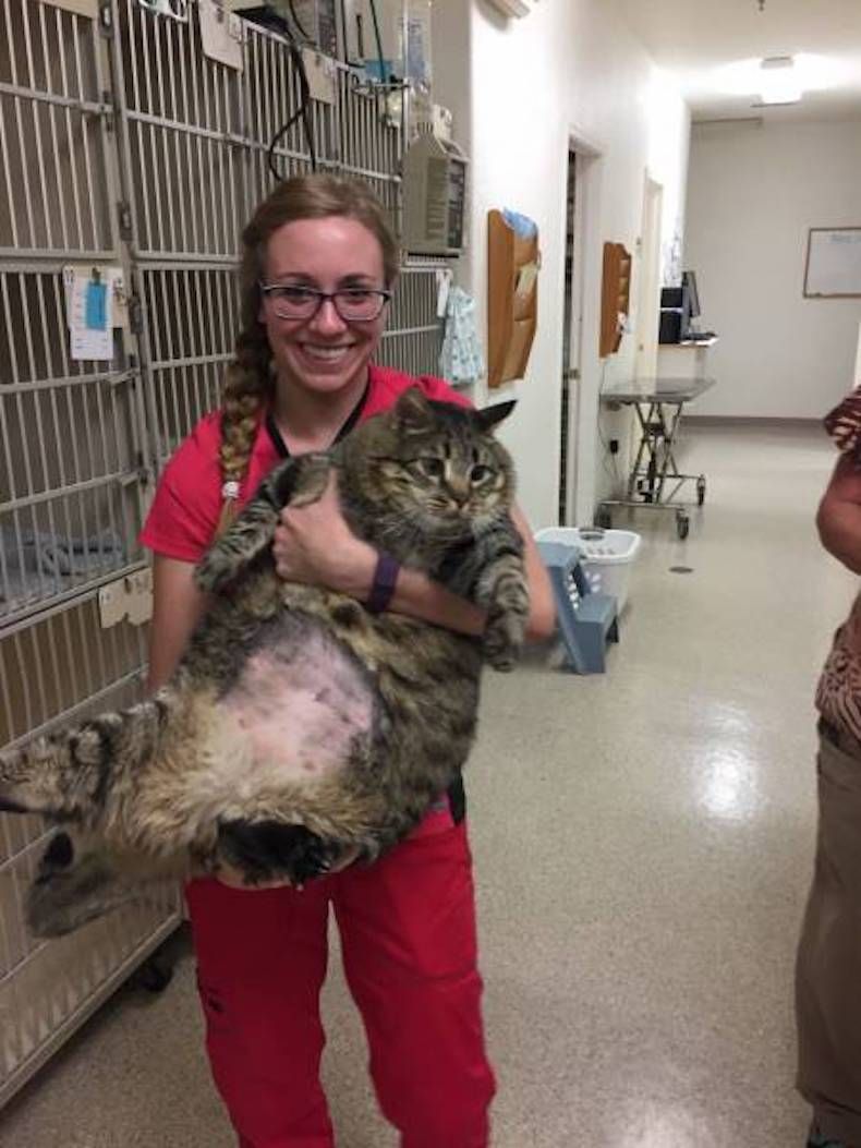 Gewoon een verzameling hilarische foto's #747