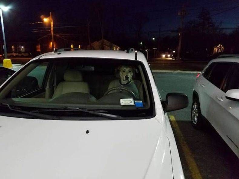 Gewoon een verzameling hilarische foto's #747