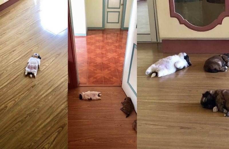 Gewoon een verzameling hilarische foto’s #1107