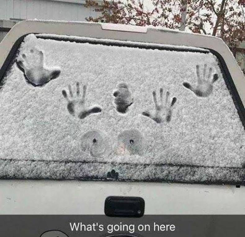 Gewoon een verzameling hilarische foto's #1096