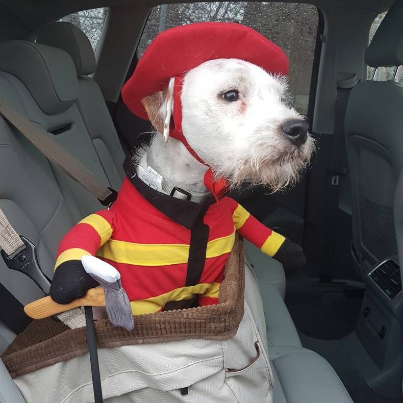 Gewoon een verzameling hilarische foto's #730