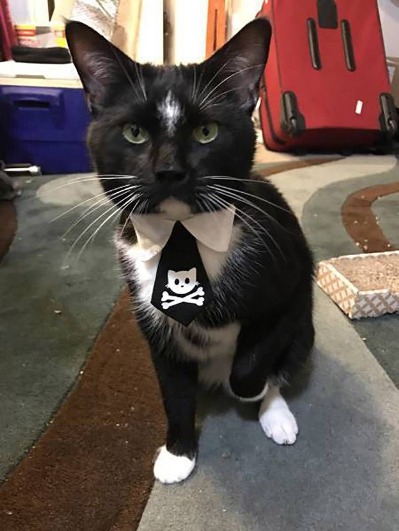 Gewoon een verzameling hilarische foto's #1096