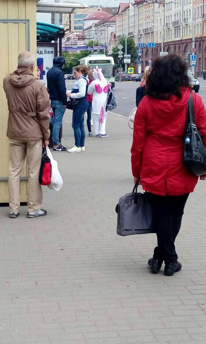 Gewoon een verzameling hilarische foto's #823