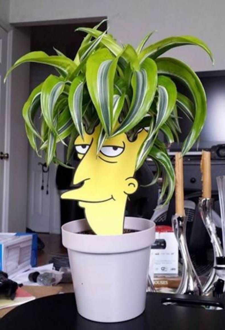 Gewoon een verzameling hilarische foto's #747