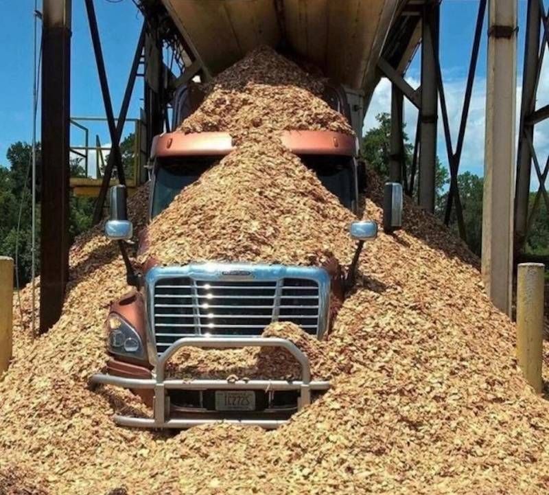 Gewoon een verzameling hilarische foto’s #1107