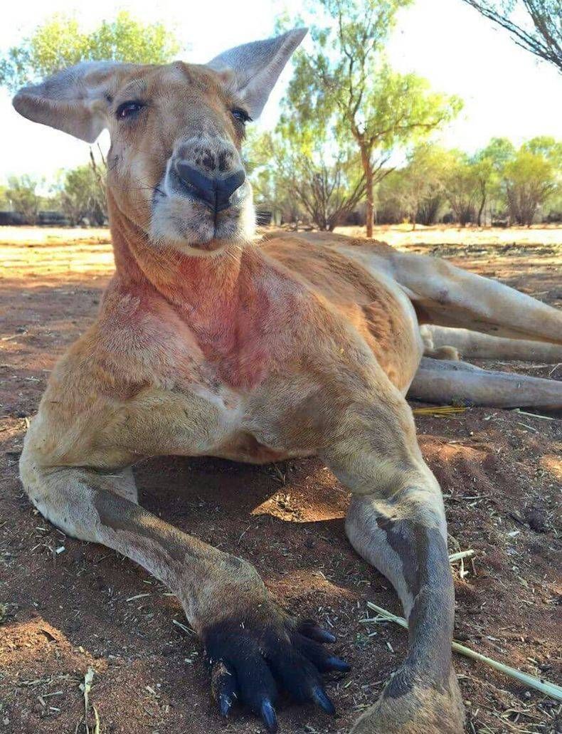 Gewoon een verzameling hilarische foto's #745