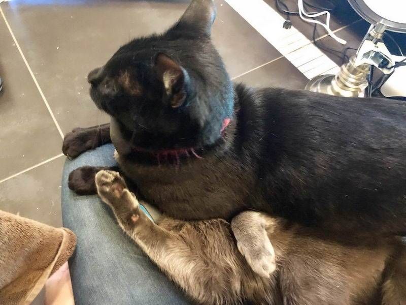 Gewoon een verzameling hilarische foto’s #1107