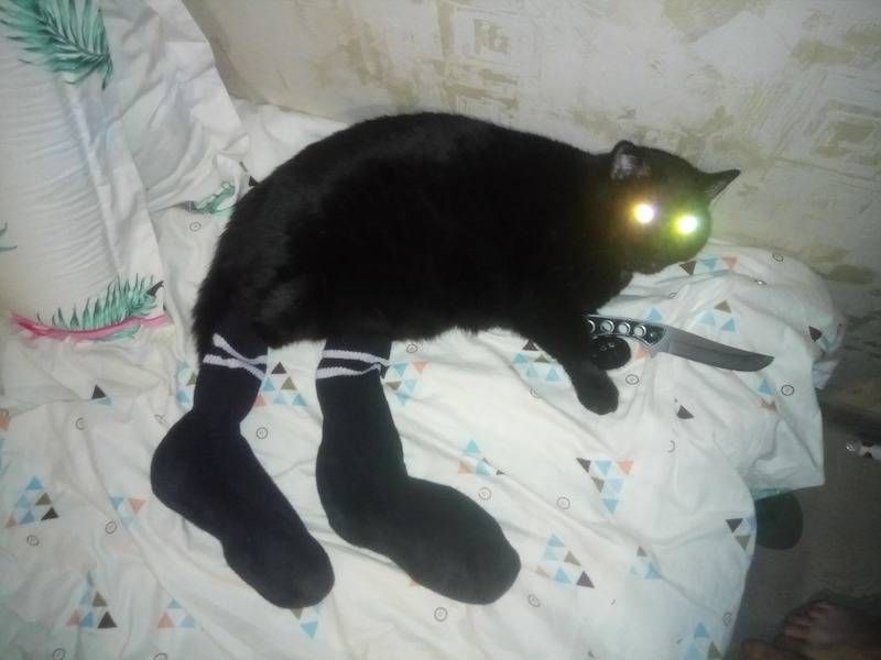 Gewoon een verzameling hilarische foto’s #1107