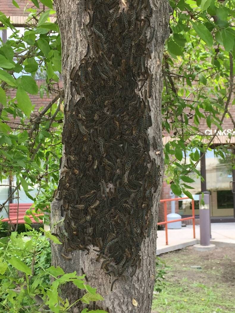 Gewoon een verzameling hilarische foto's #730