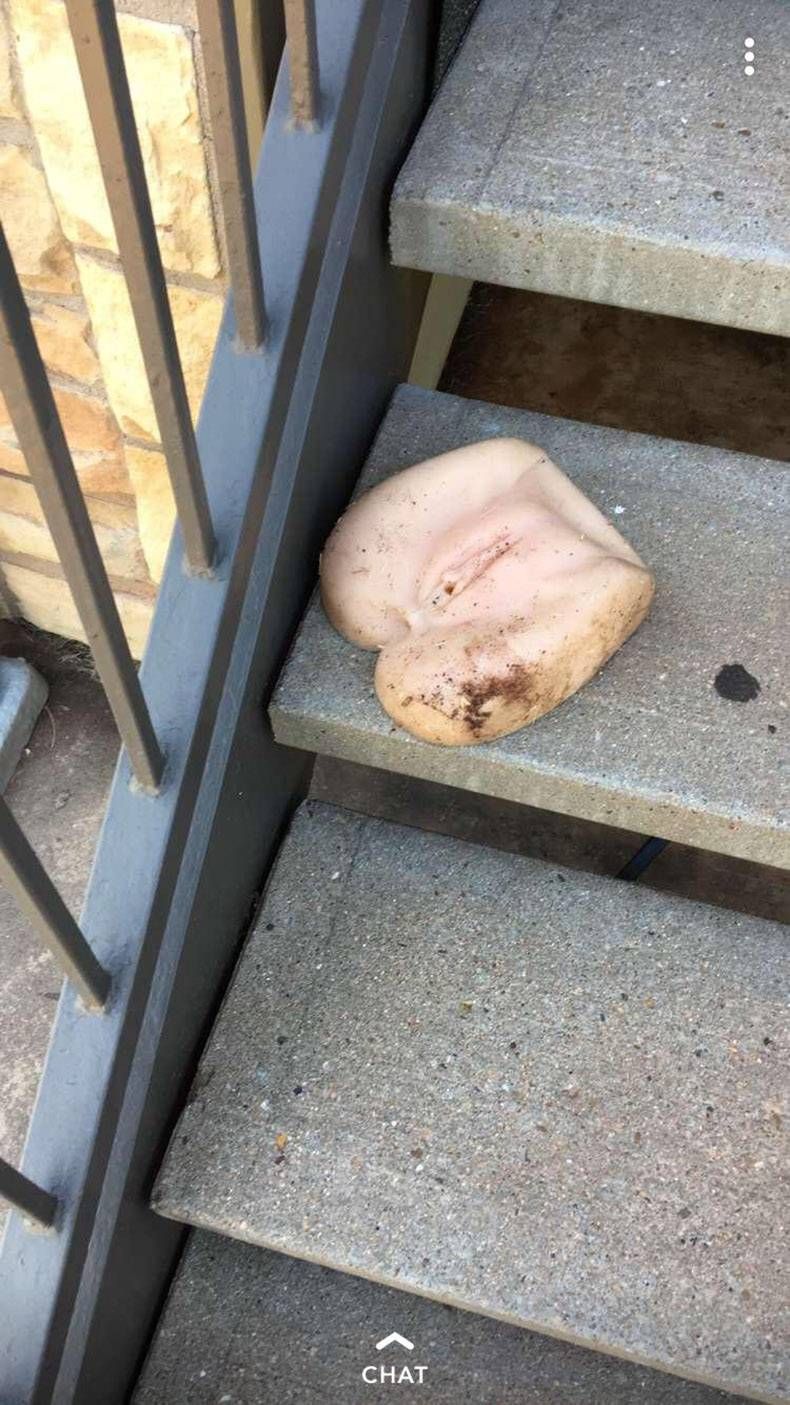 Gewoon een verzameling hilarische foto's #1159