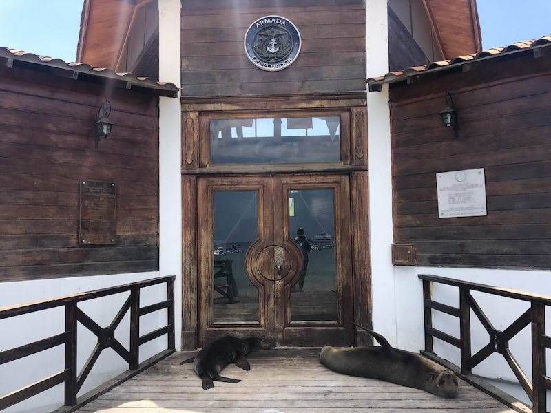 Gewoon een verzameling hilarische foto’s #1107